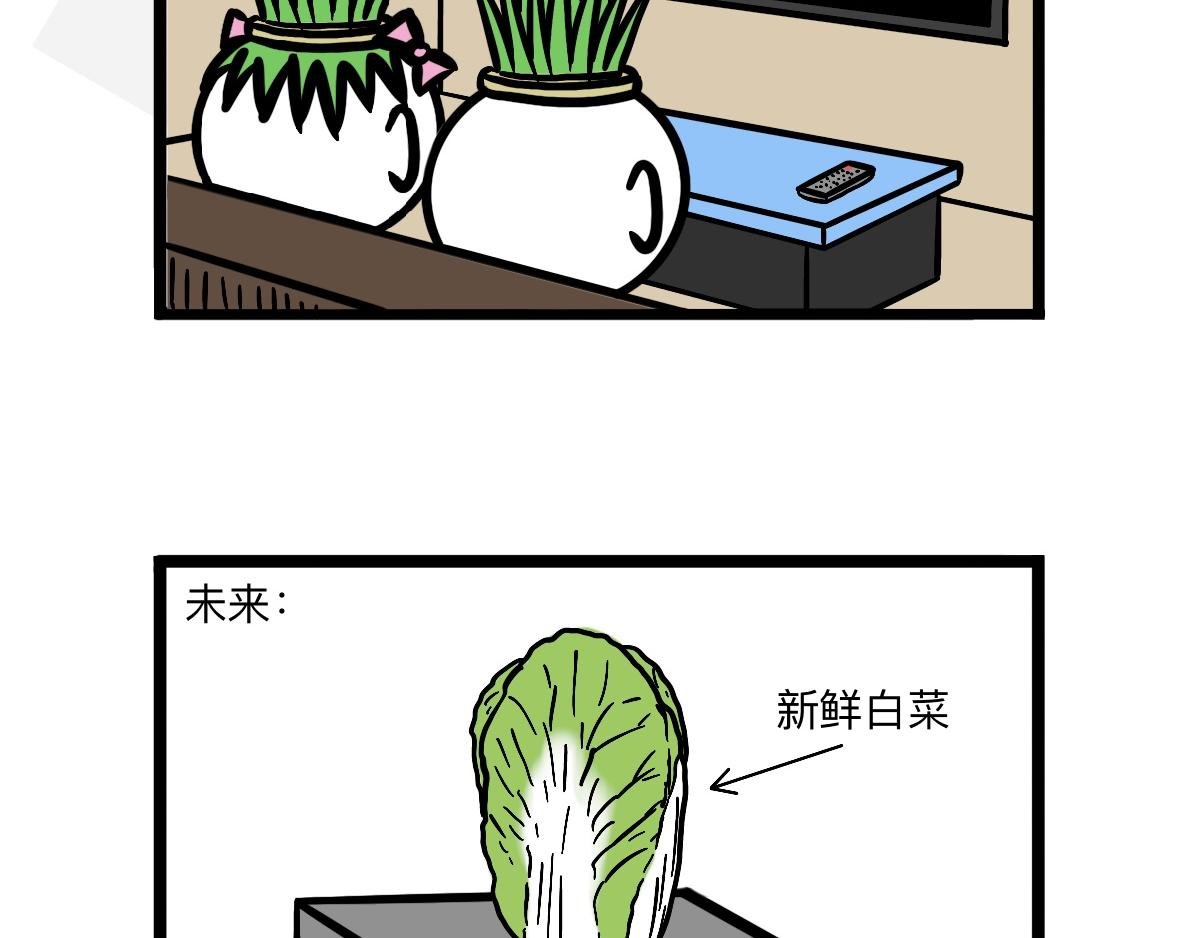 004-006