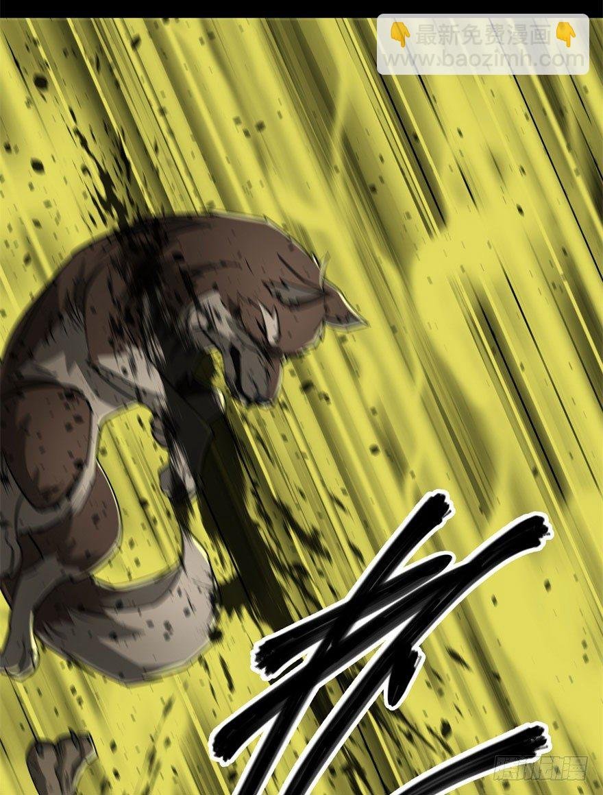 013赤炎青狼妖