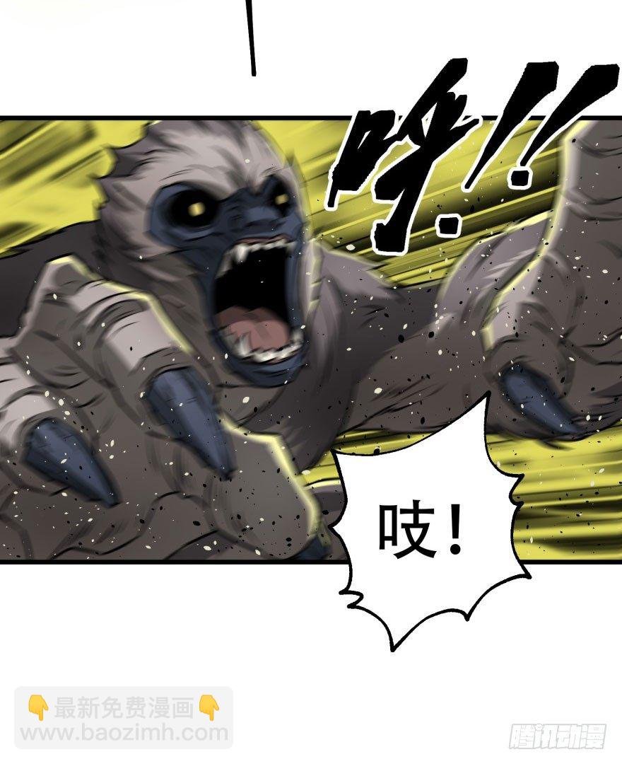 014大败小鬼猴