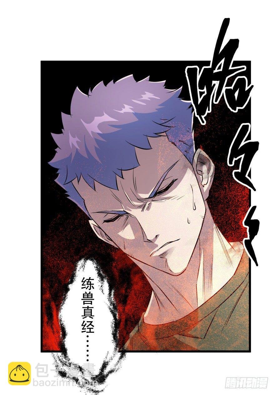 017炼化兽元