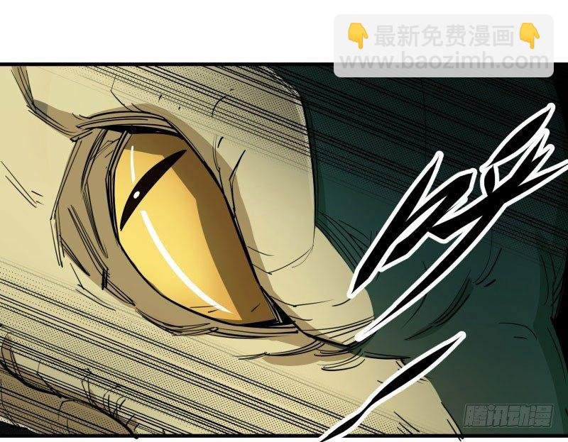 002吴狗熊