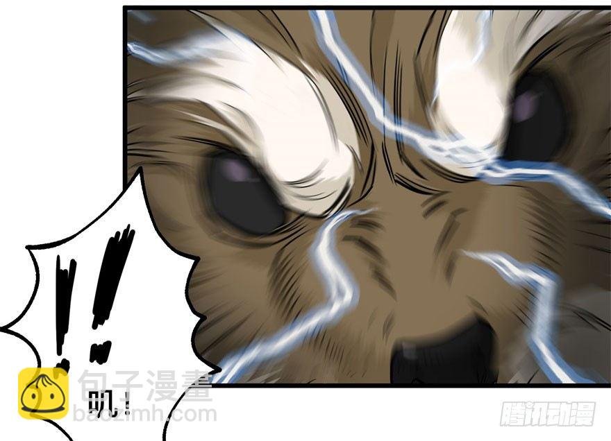 007闪电魔纹貂