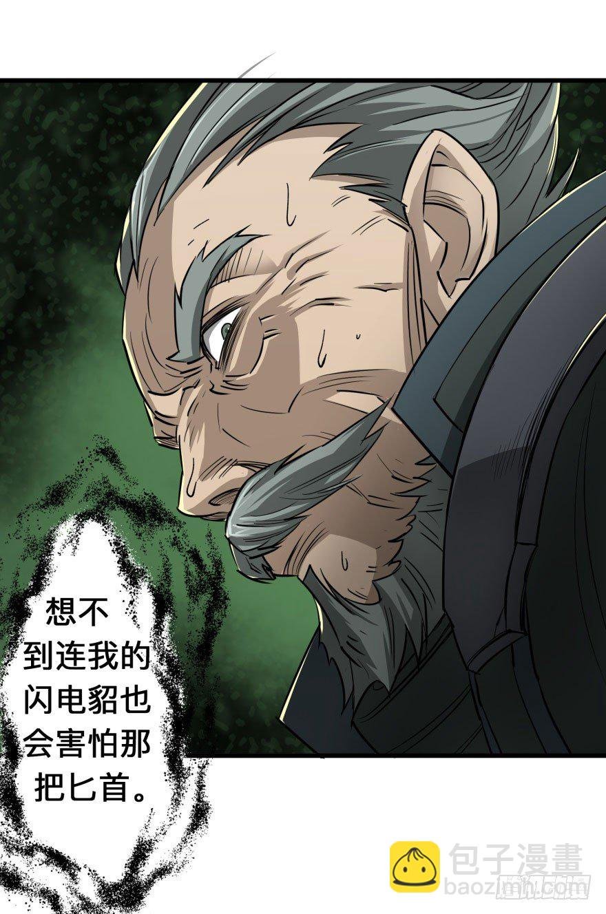 007闪电魔纹貂