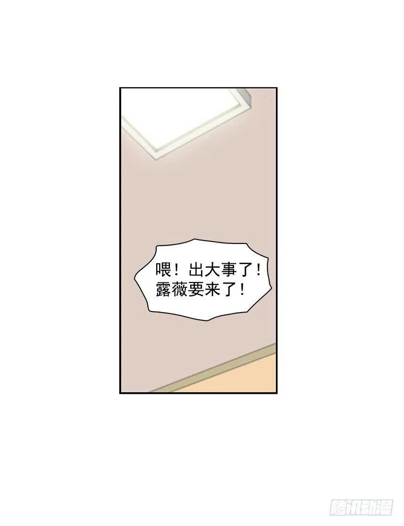 露薇到来