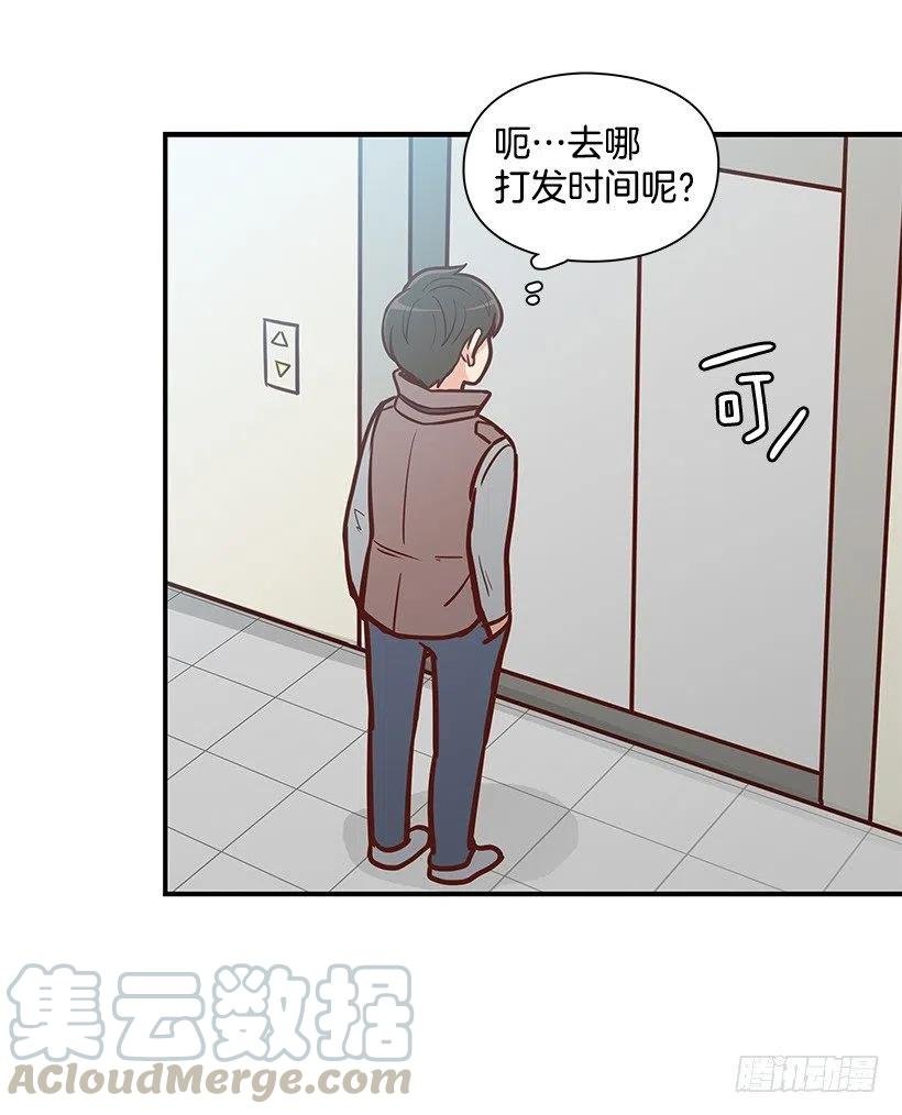 露薇到来