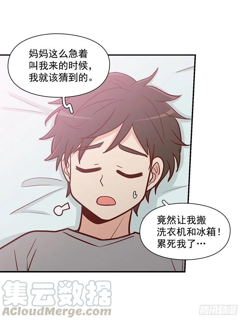 似真似假