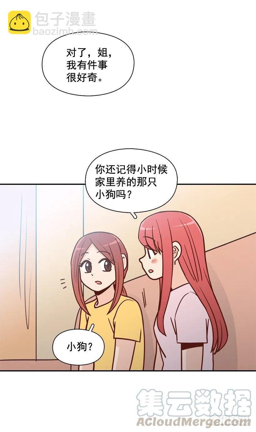 奇怪鸡汤