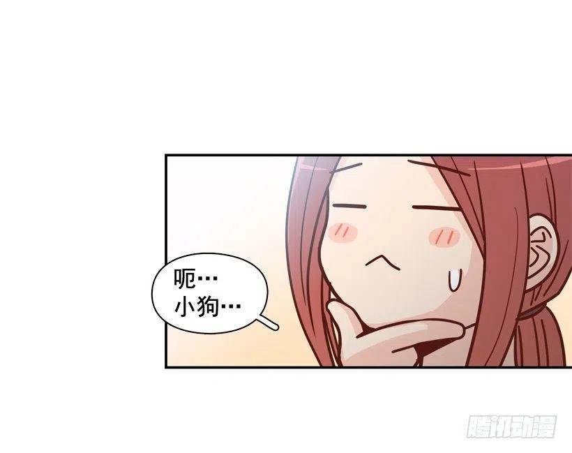 奇怪鸡汤