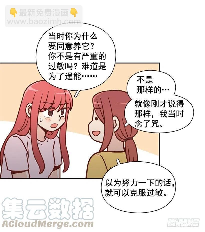 奇怪鸡汤