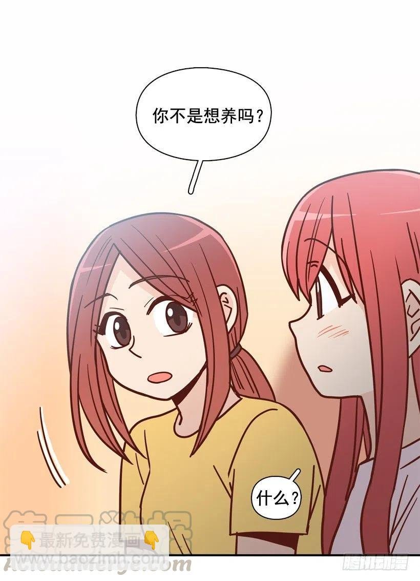奇怪鸡汤