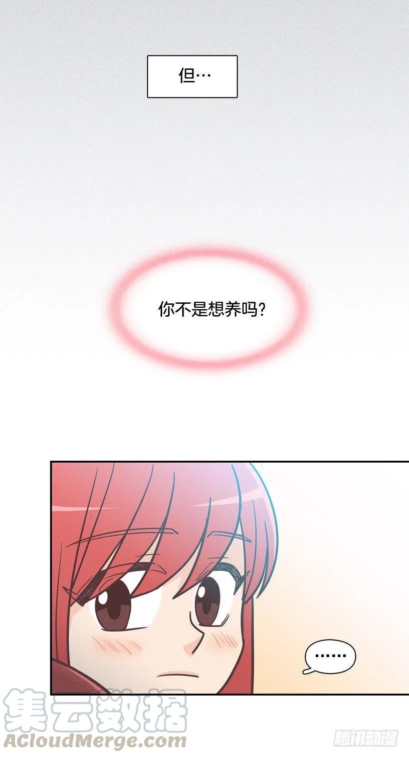 奇怪鸡汤