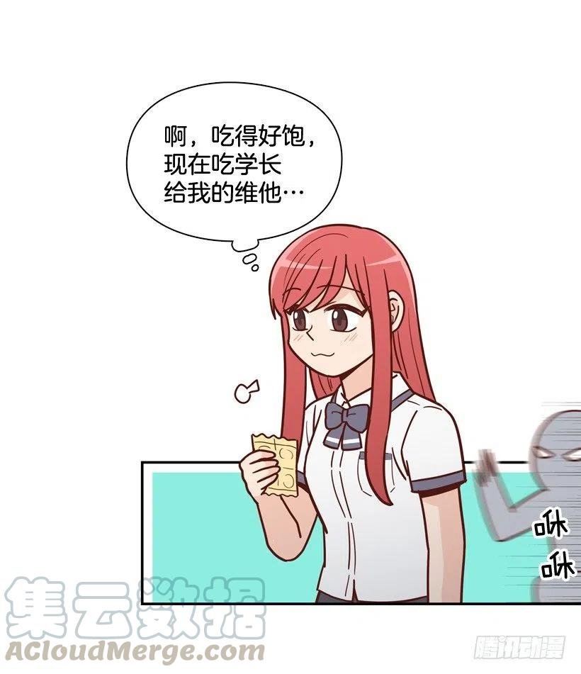 他不是备胎