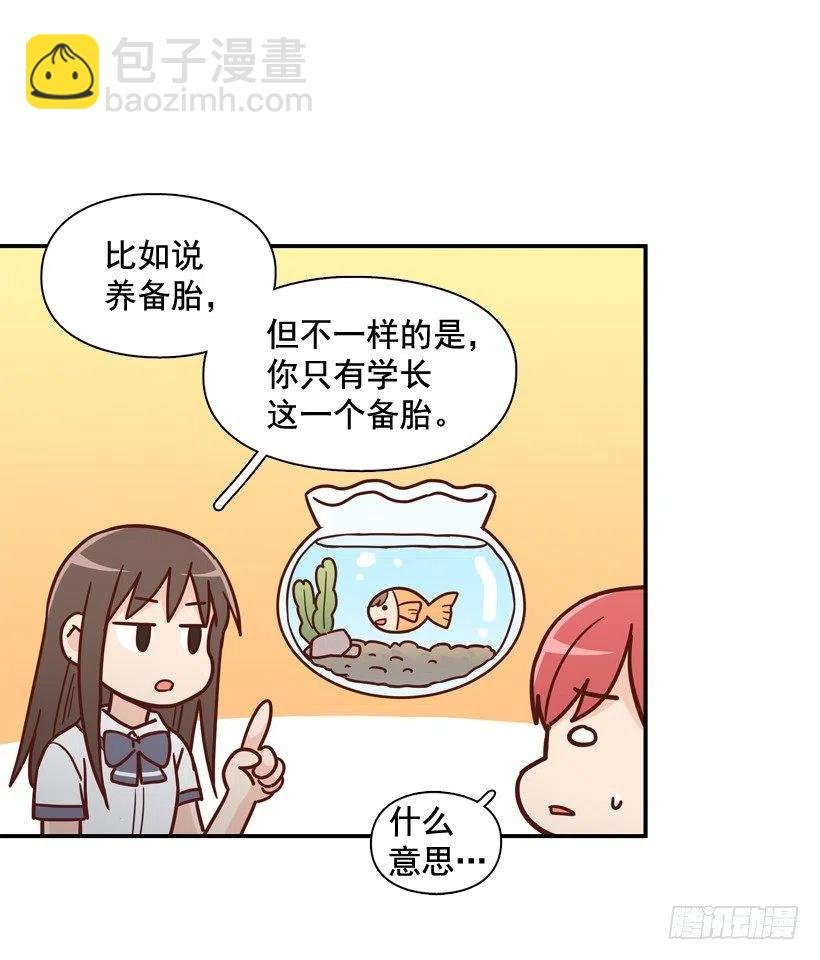 他不是备胎