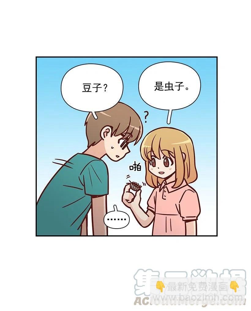 那年夏天