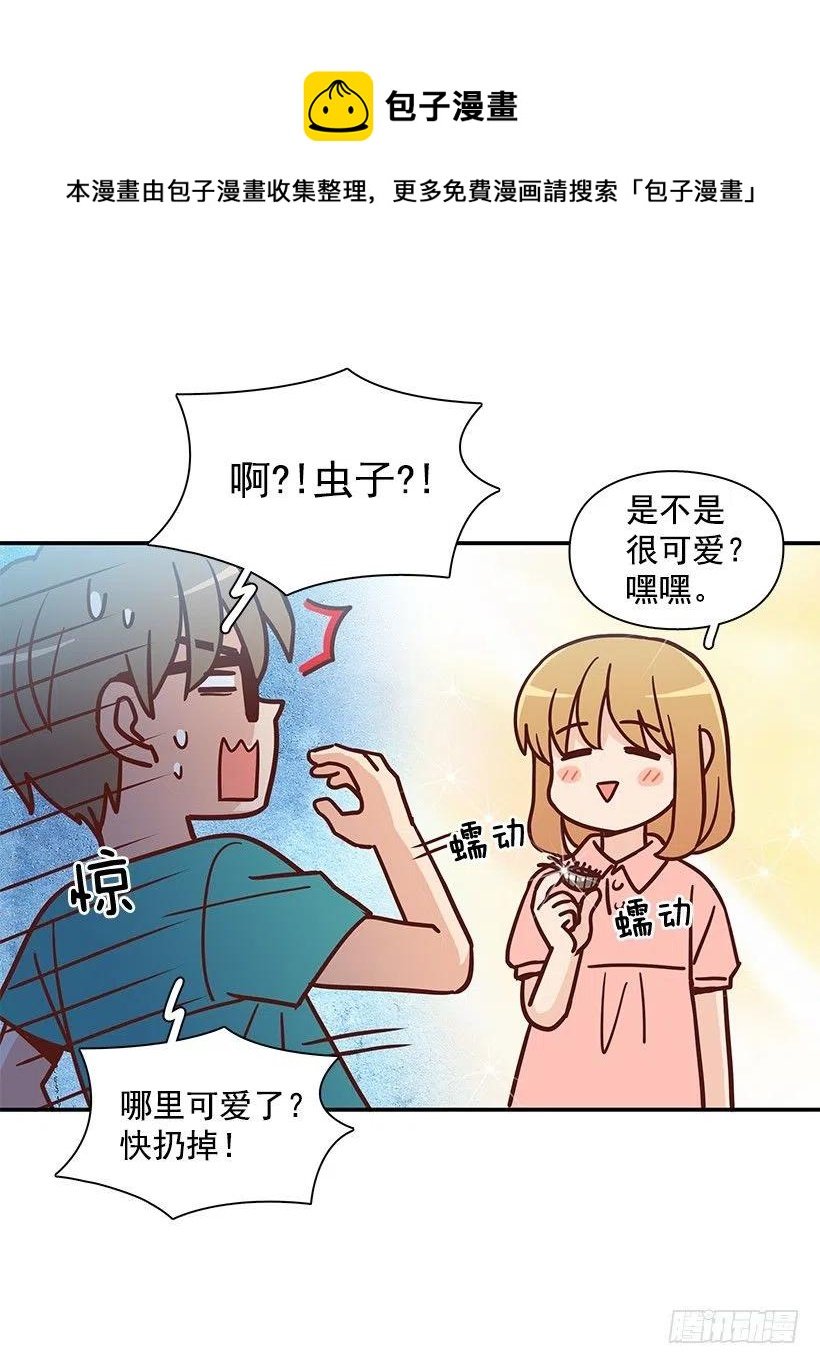 那年夏天