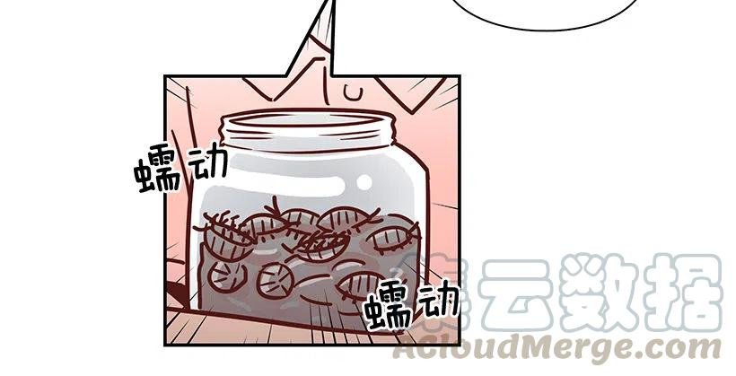 那年夏天