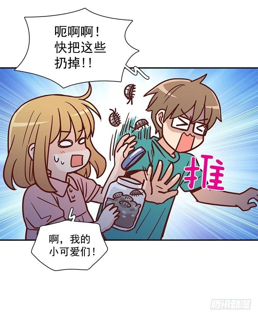 那年夏天