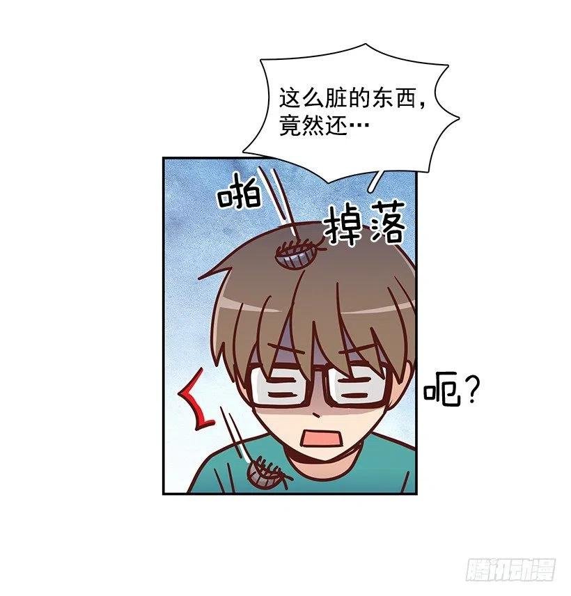 那年夏天