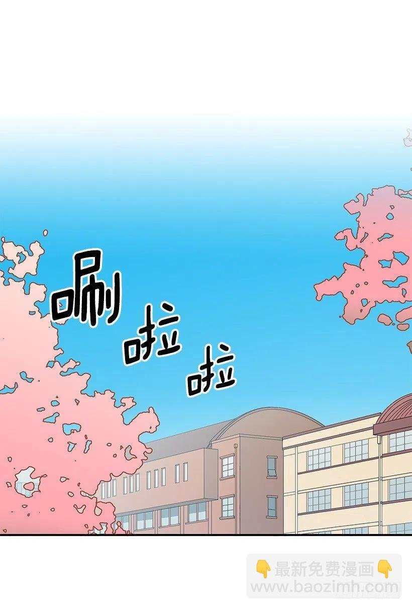 崭新的夏天