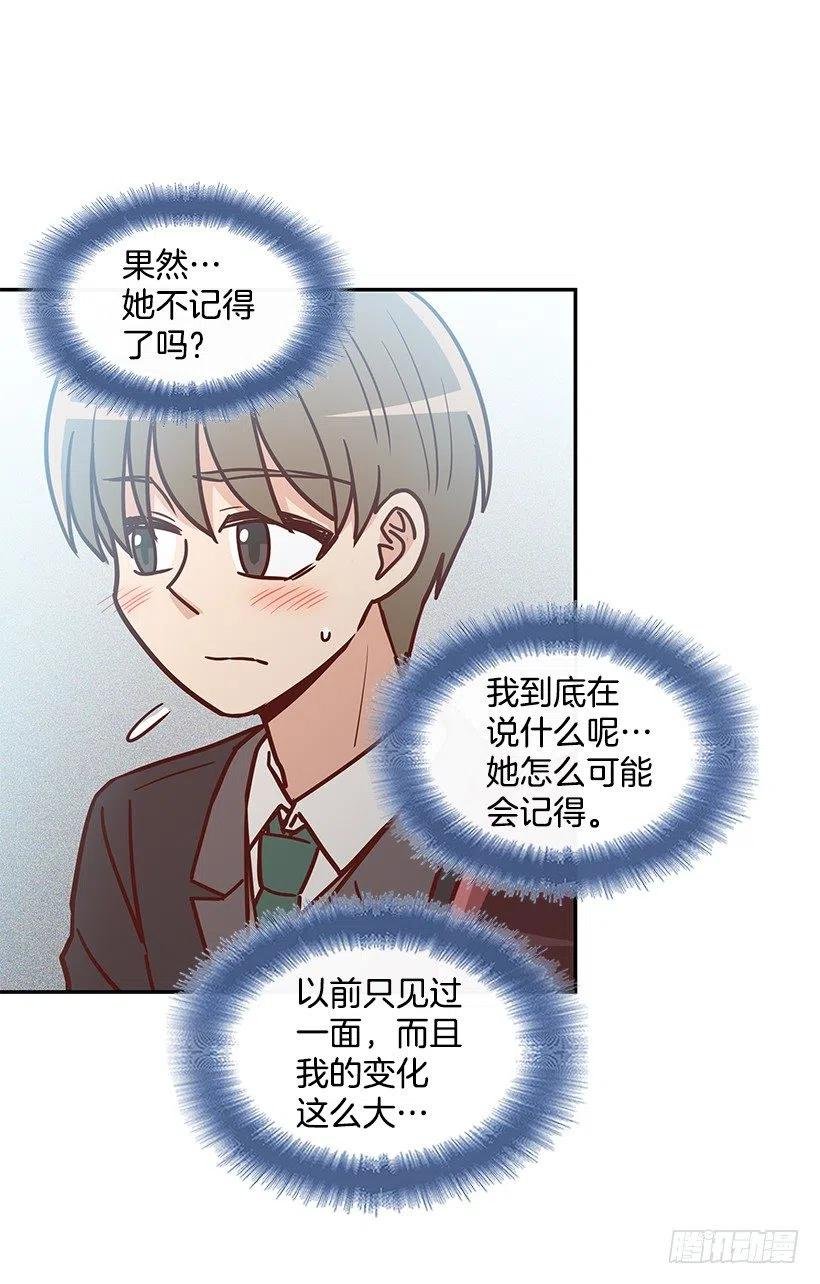 崭新的夏天