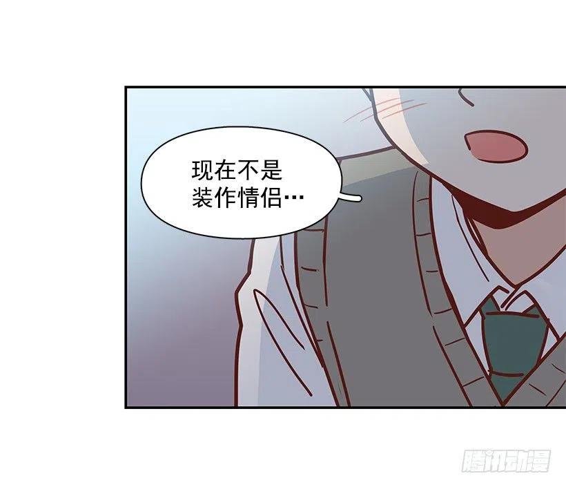崭新的夏天