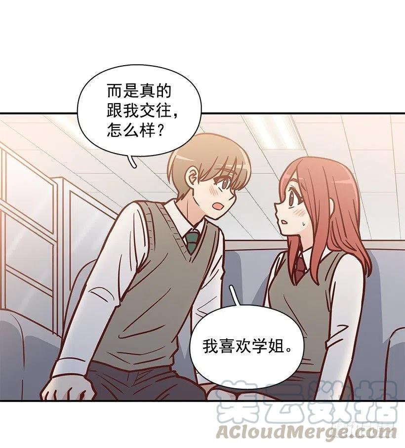 崭新的夏天