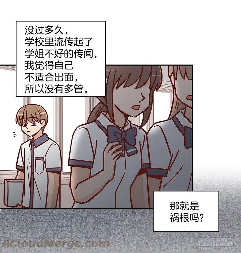 崭新的夏天