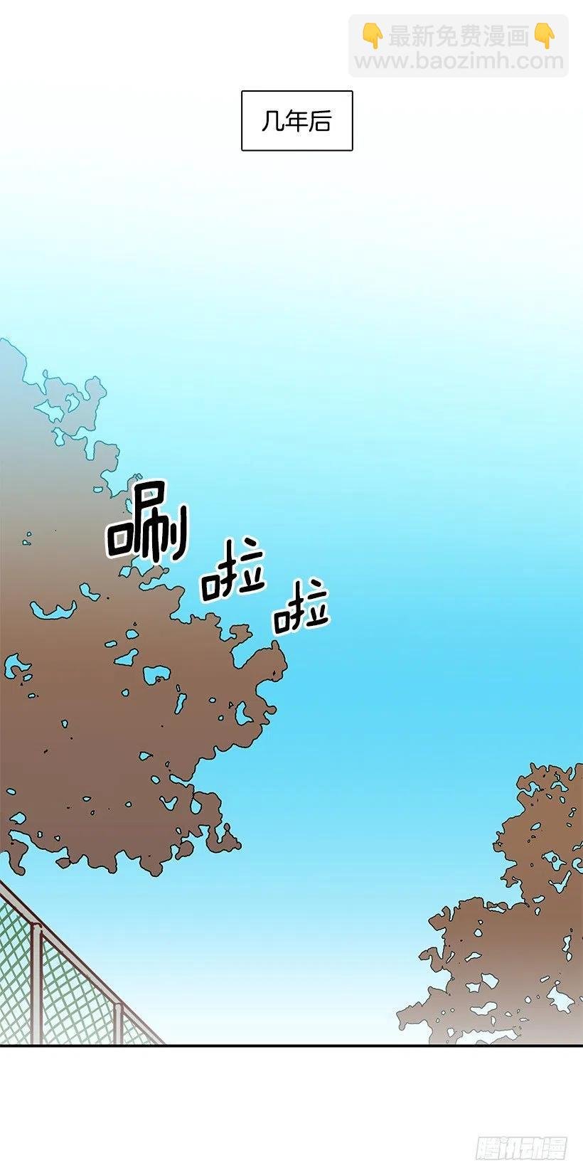 崭新的夏天