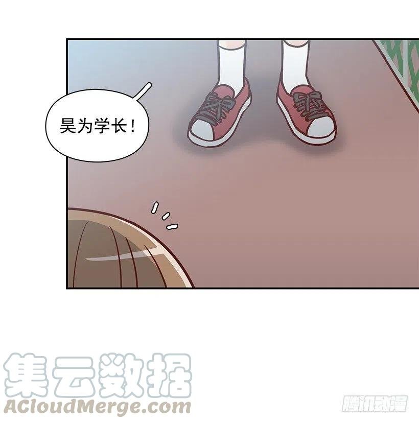 崭新的夏天