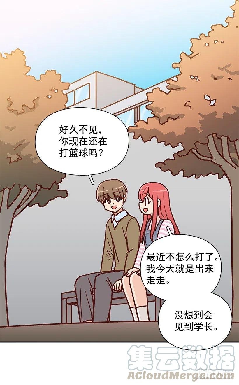 崭新的夏天