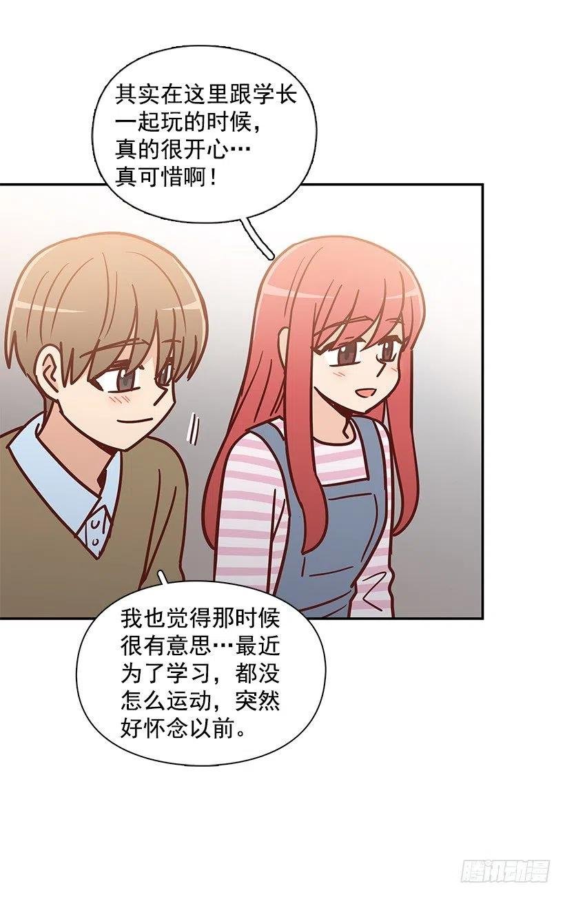 崭新的夏天