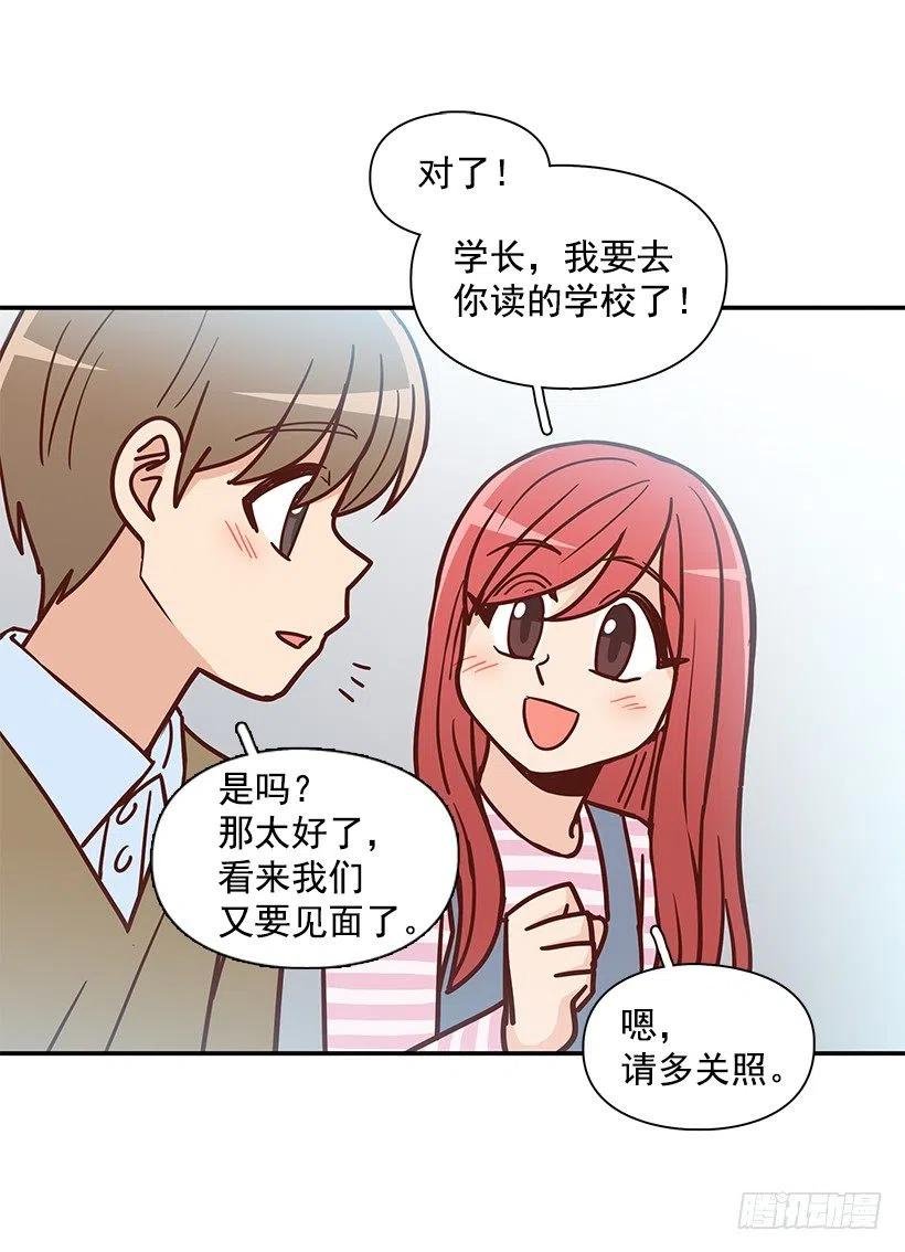 崭新的夏天