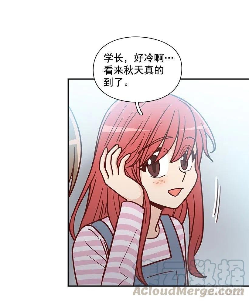崭新的夏天