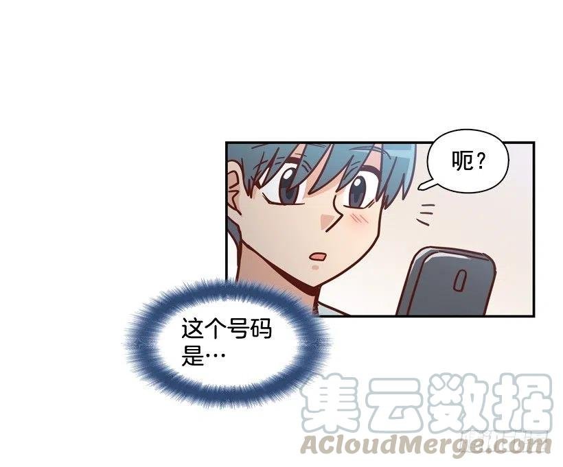 我别无选择