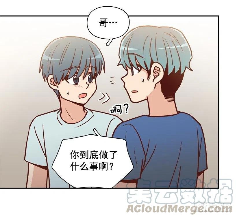 用哥哥换朋友