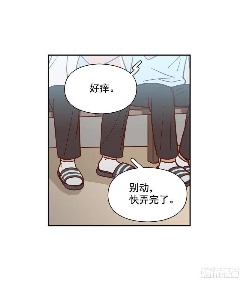 你亲手毁了哥哥的遗作
