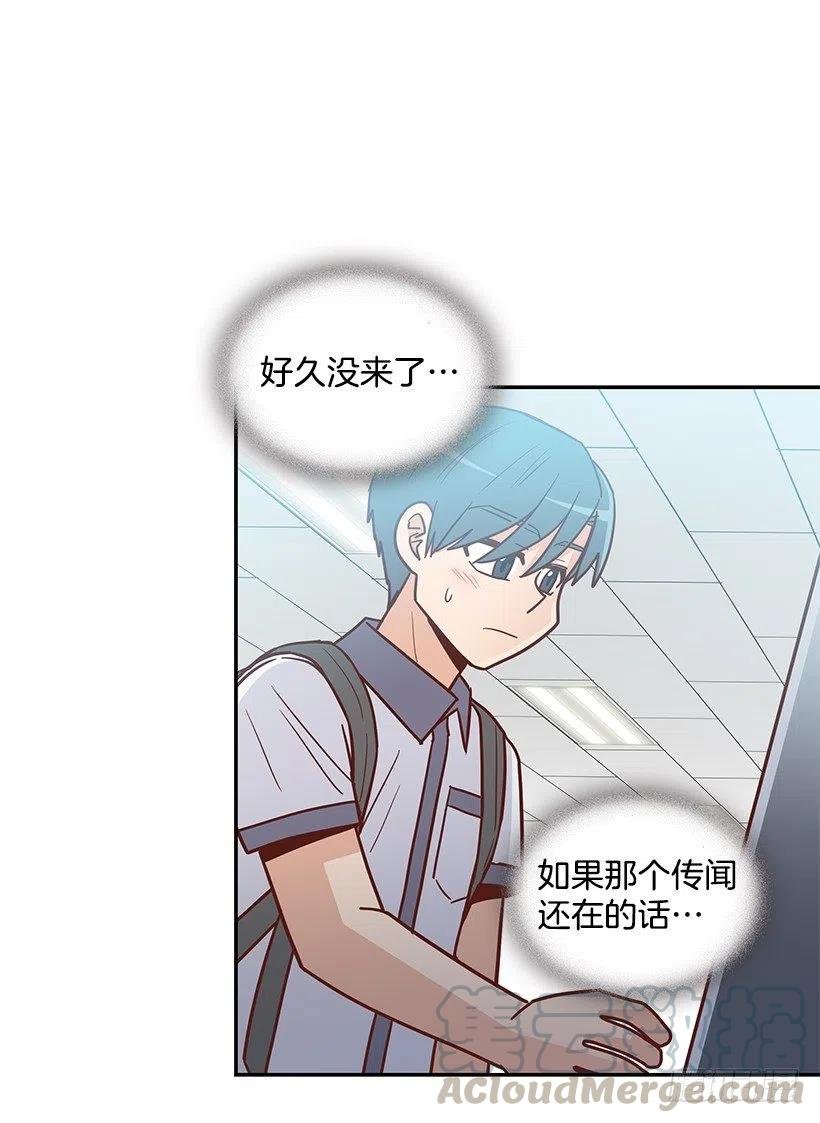 我不会再恨你了