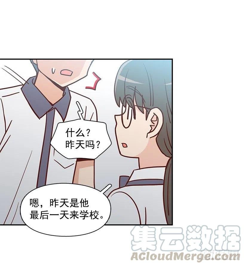 我不会再恨你了
