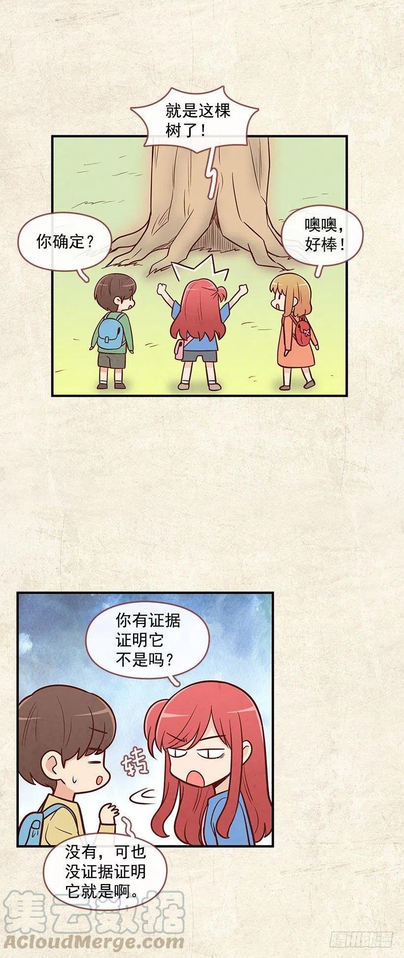 愿望树