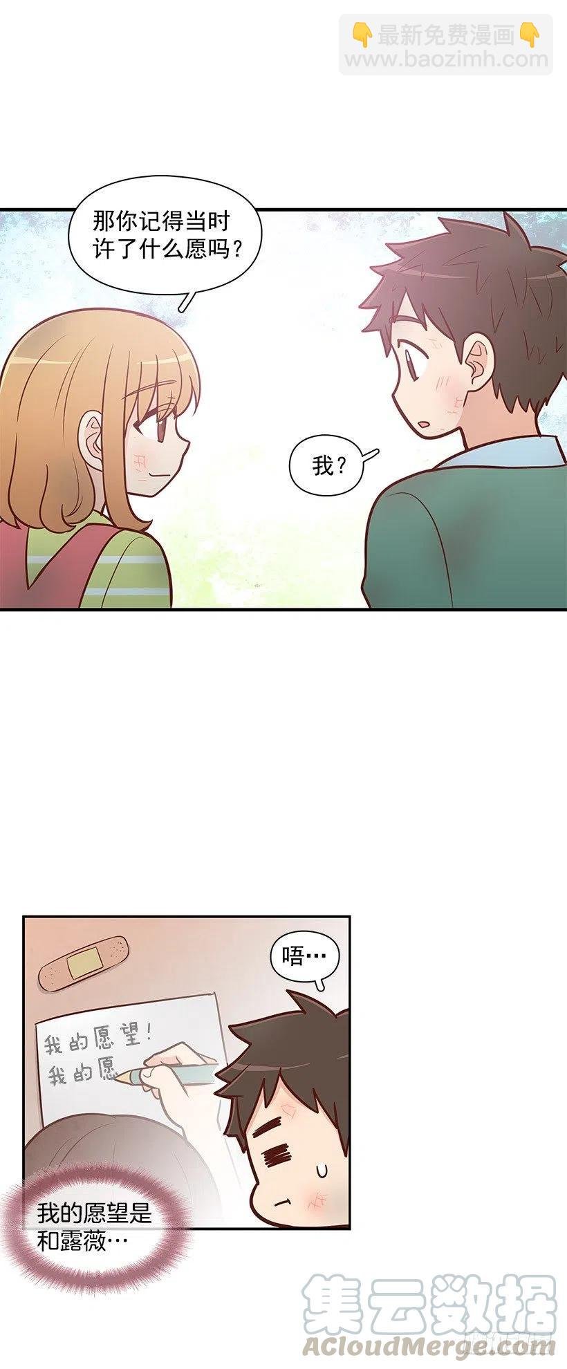 愿望树