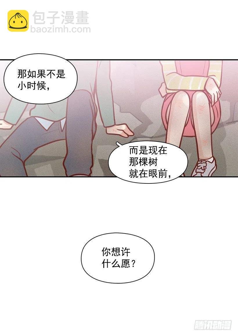 愿望树