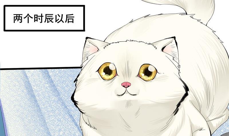 第三季 第241话 算计