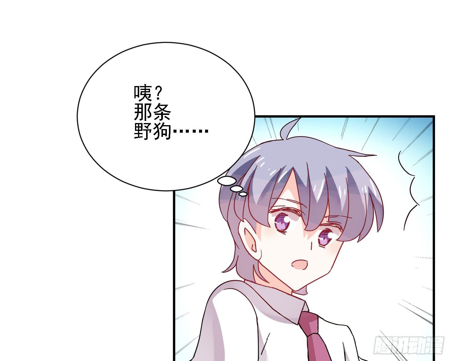 骑在狗背上的男孩