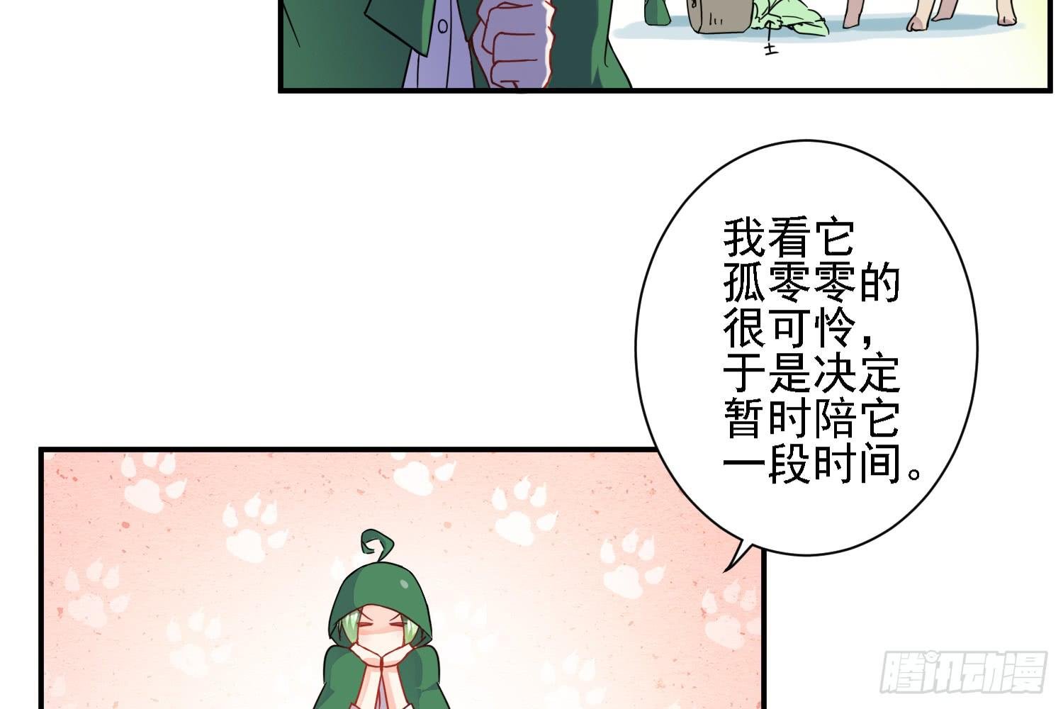 骑在狗背上的男孩