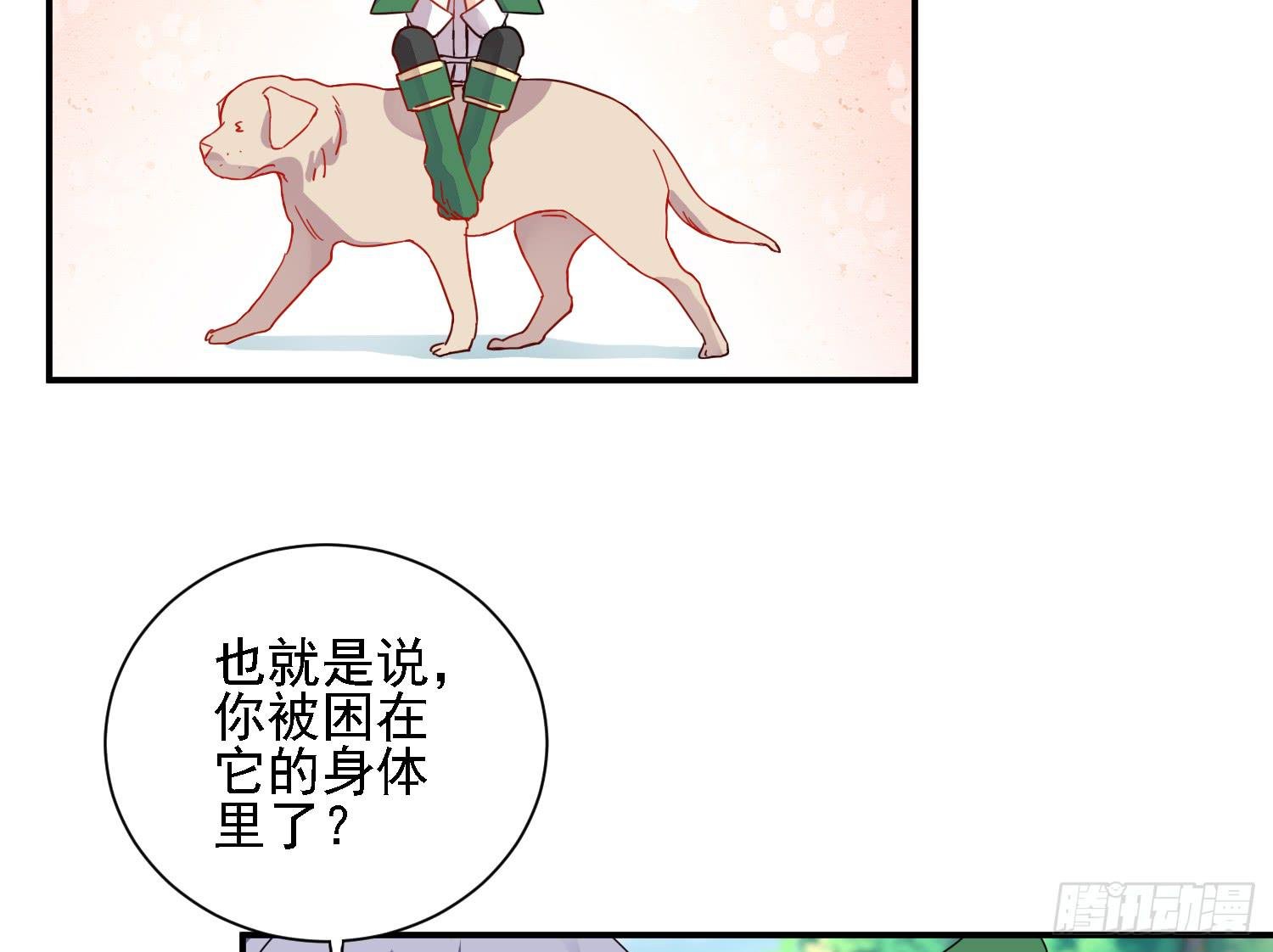 骑在狗背上的男孩
