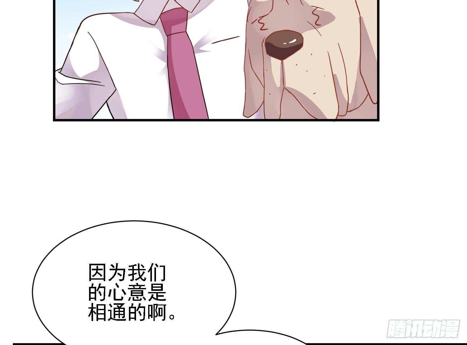 骑在狗背上的男孩
