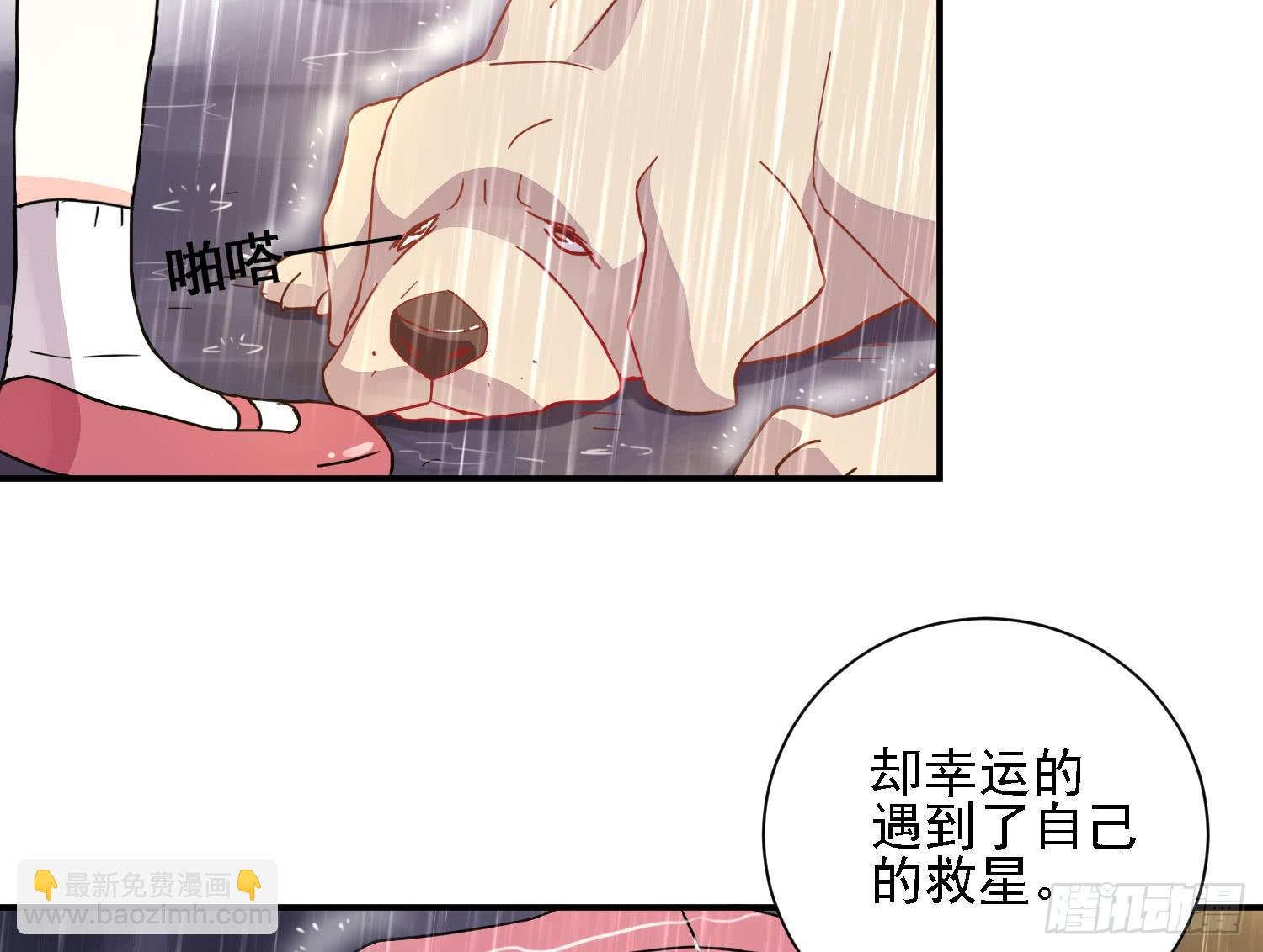 骑在狗背上的男孩