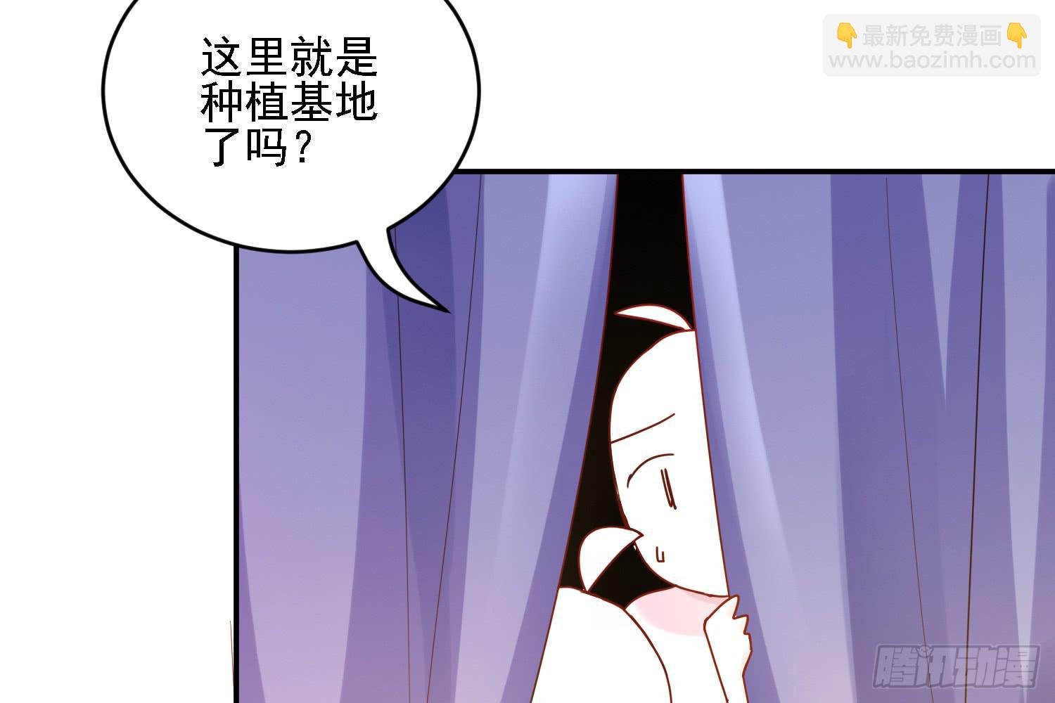 小菜的悲伤