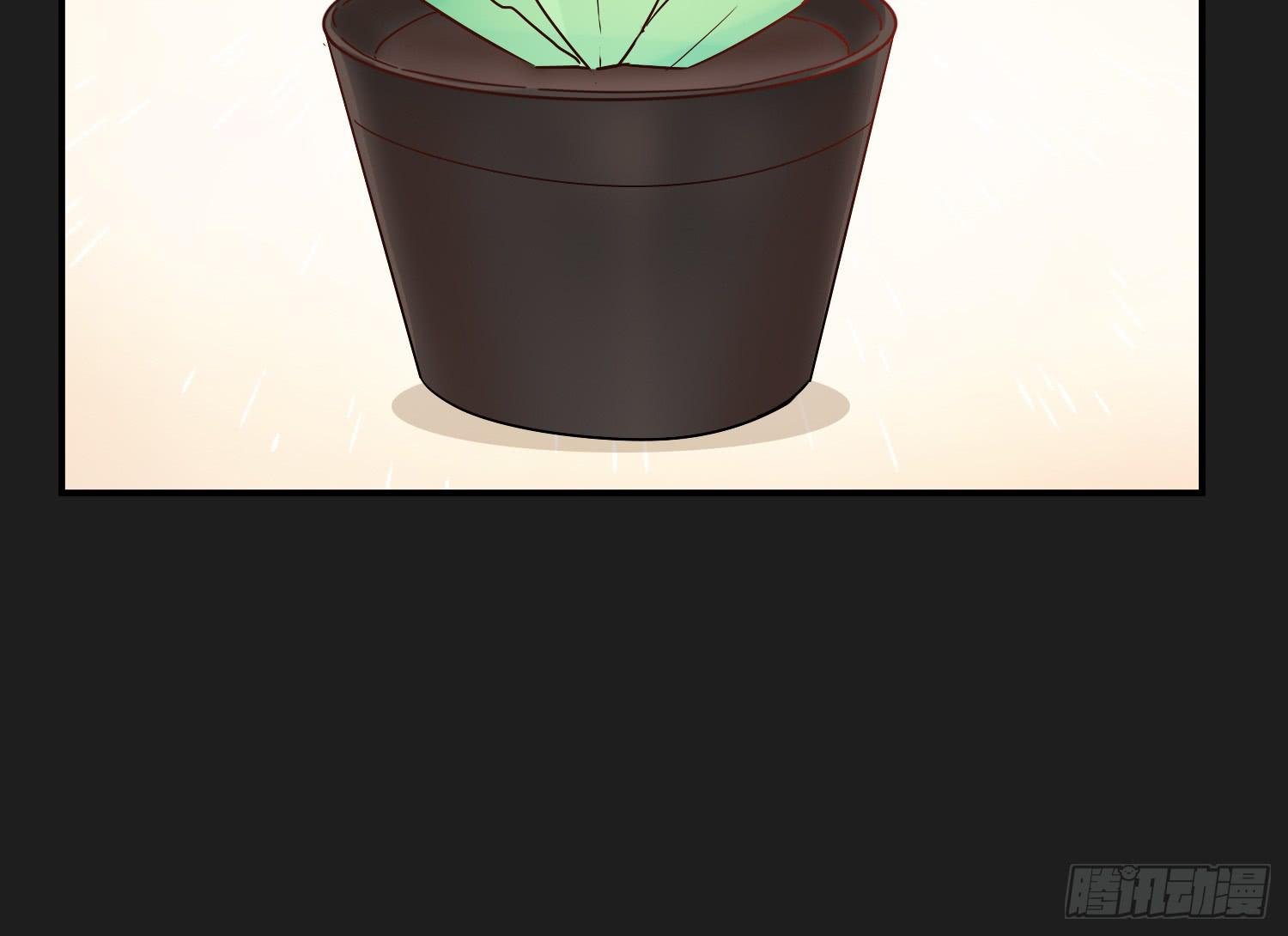 植物就要有植物的样子