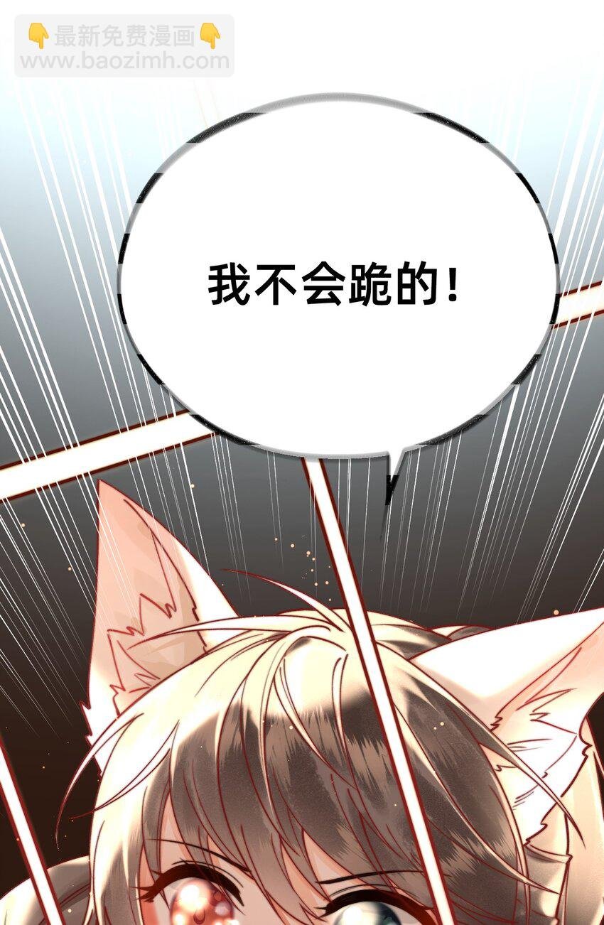 01 天降狐崽